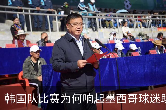 韩国队比赛为何响起墨西哥球迷助威声 奇妙的缘分源自8年前